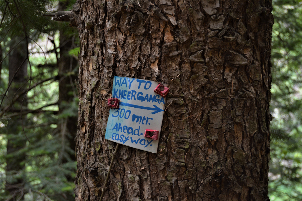 Una guida dettagliata per il trekking di Kheerganga-Marsontheroad.com