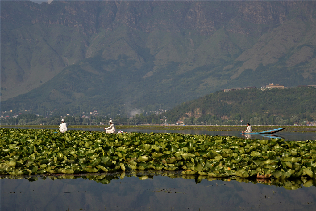 The arab part of India: Kashmir-Marsontheroad.com