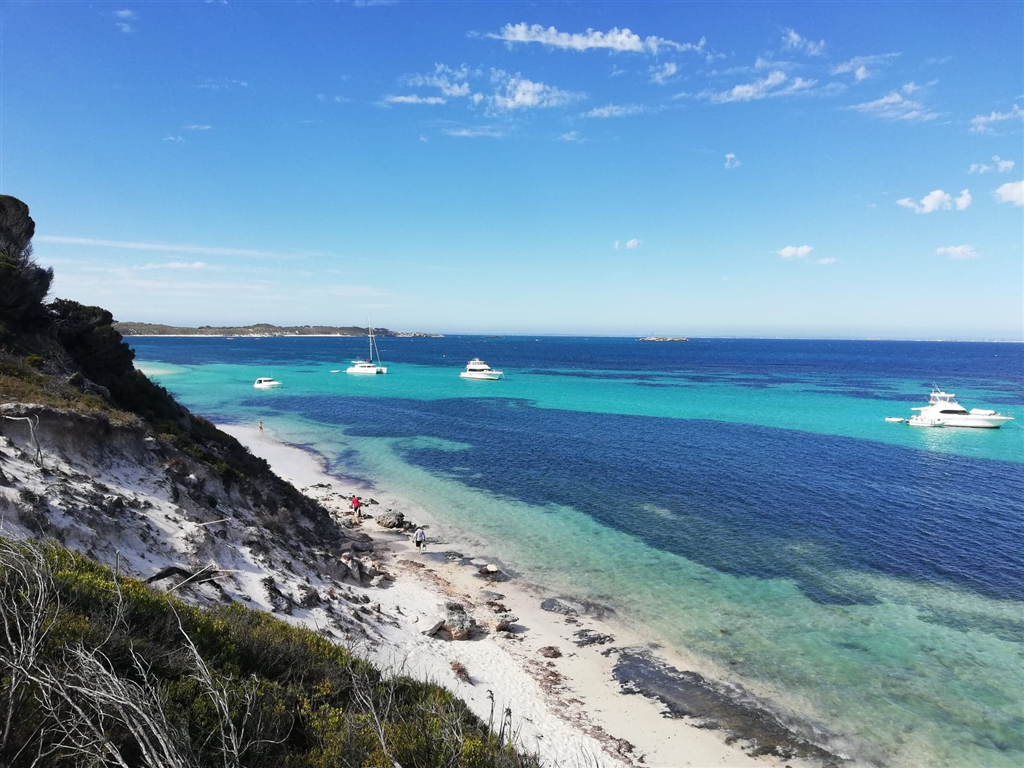 L'isola di Rottnest: casa dei Quokka-Marsontheroad.com