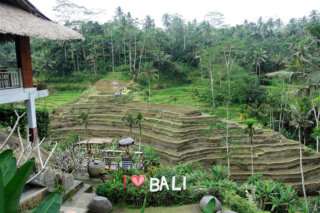 A dip into Hindu temples and green rice fields: Bali-Marsontheroad.com