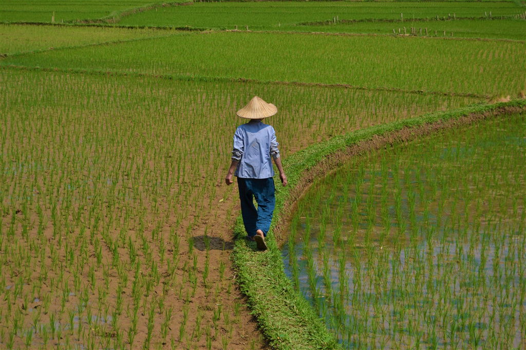 Between rice fields and rural villages: Mai Chau-Marsontheroad.com